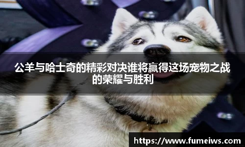 公羊与哈士奇的精彩对决谁将赢得这场宠物之战的荣耀与胜利